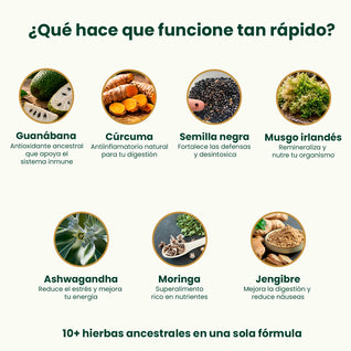 Amargos Exóticos de Guanabana