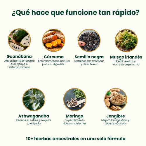 Amargos de Guanabana